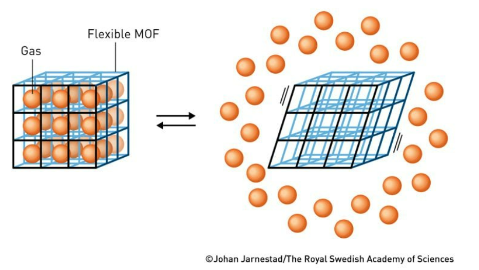 structure of MOF 