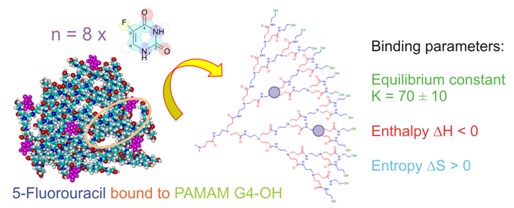 Dendrymery PAMAM G4 i G3,5 jako potencjalne przenośniki leków onkologicznych