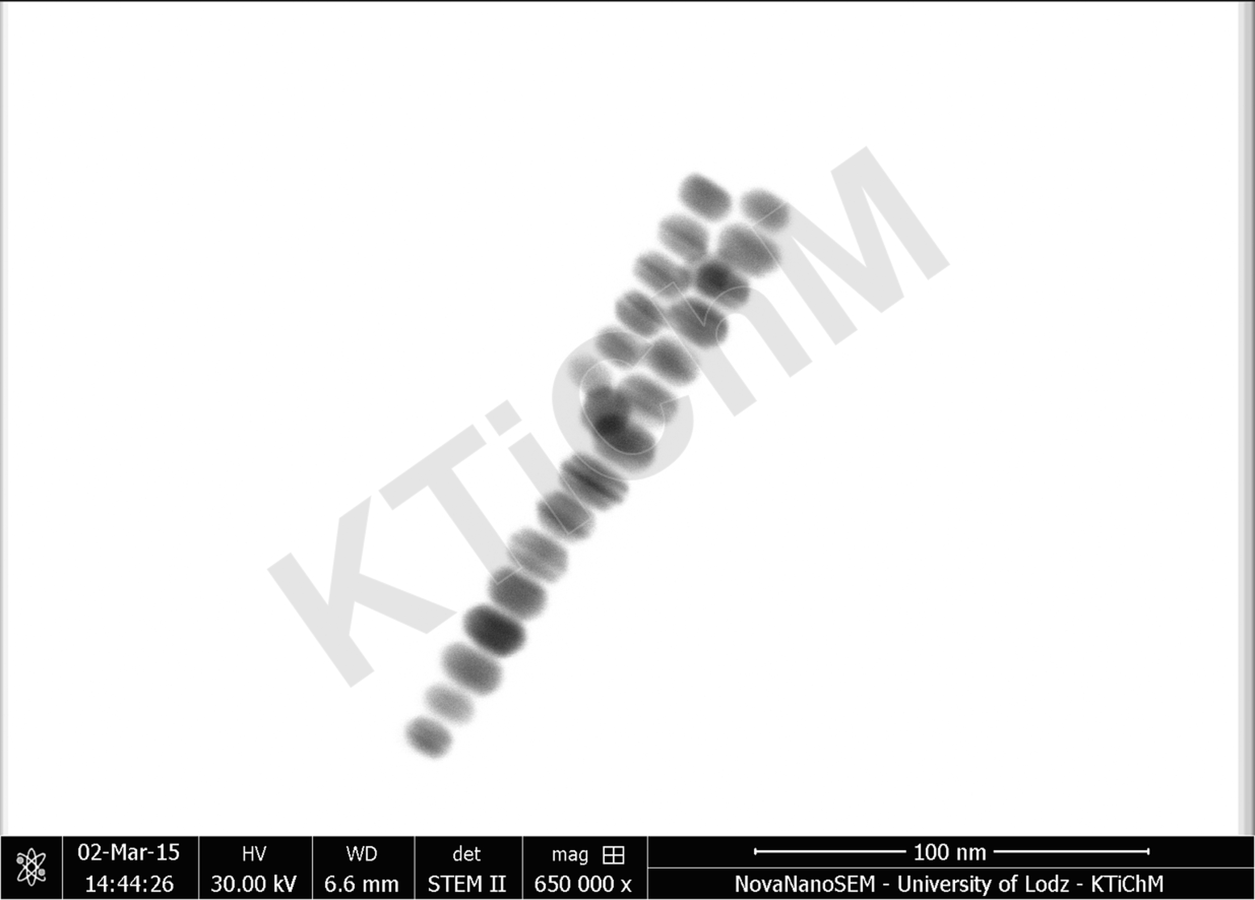 Nanocząstki srebra (AgNPs) ~13 nm