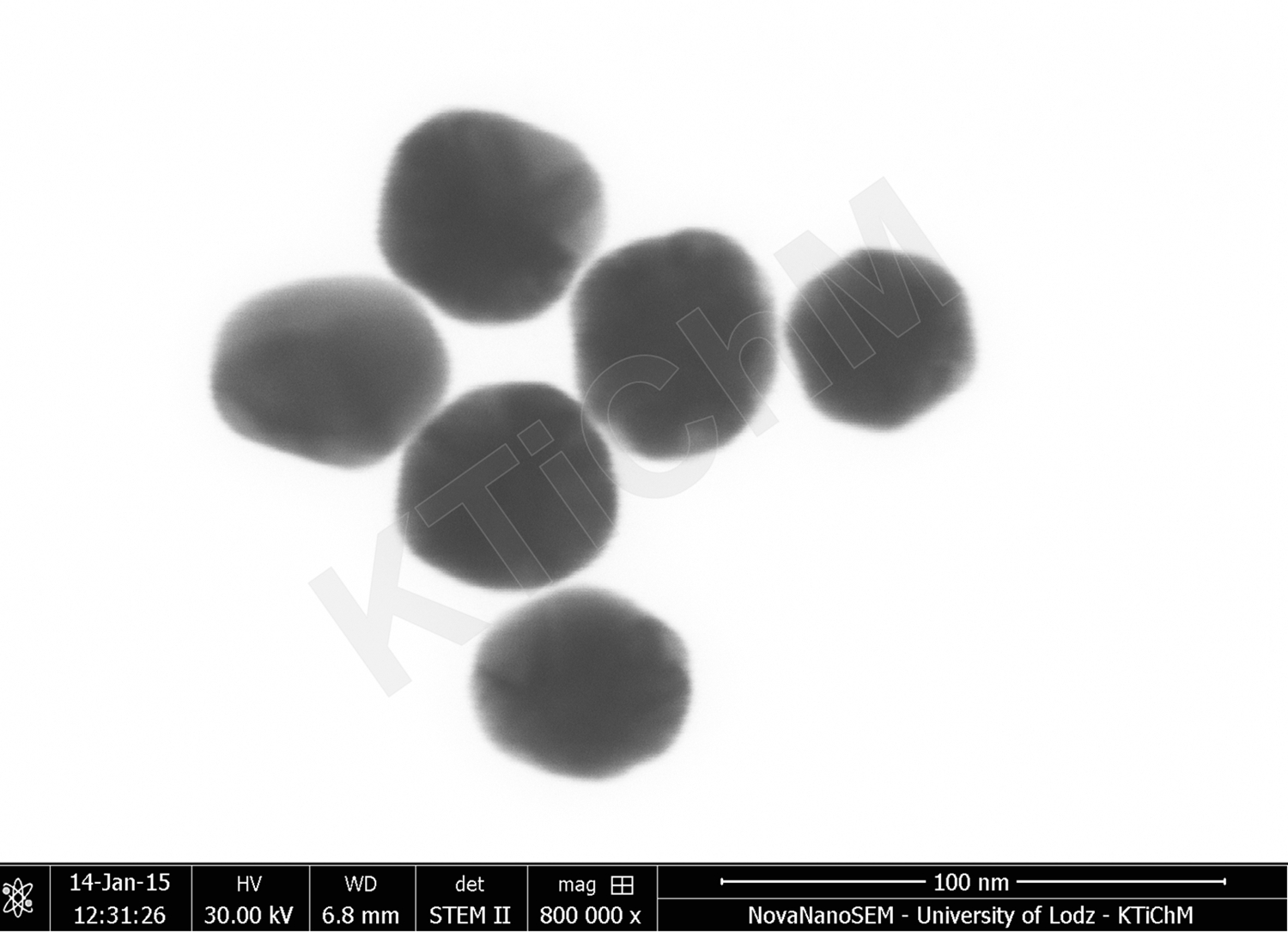 Nanocząstki złota (AuNP) o rozmiarze 40 nm, zdeponowane na błonach węglowych