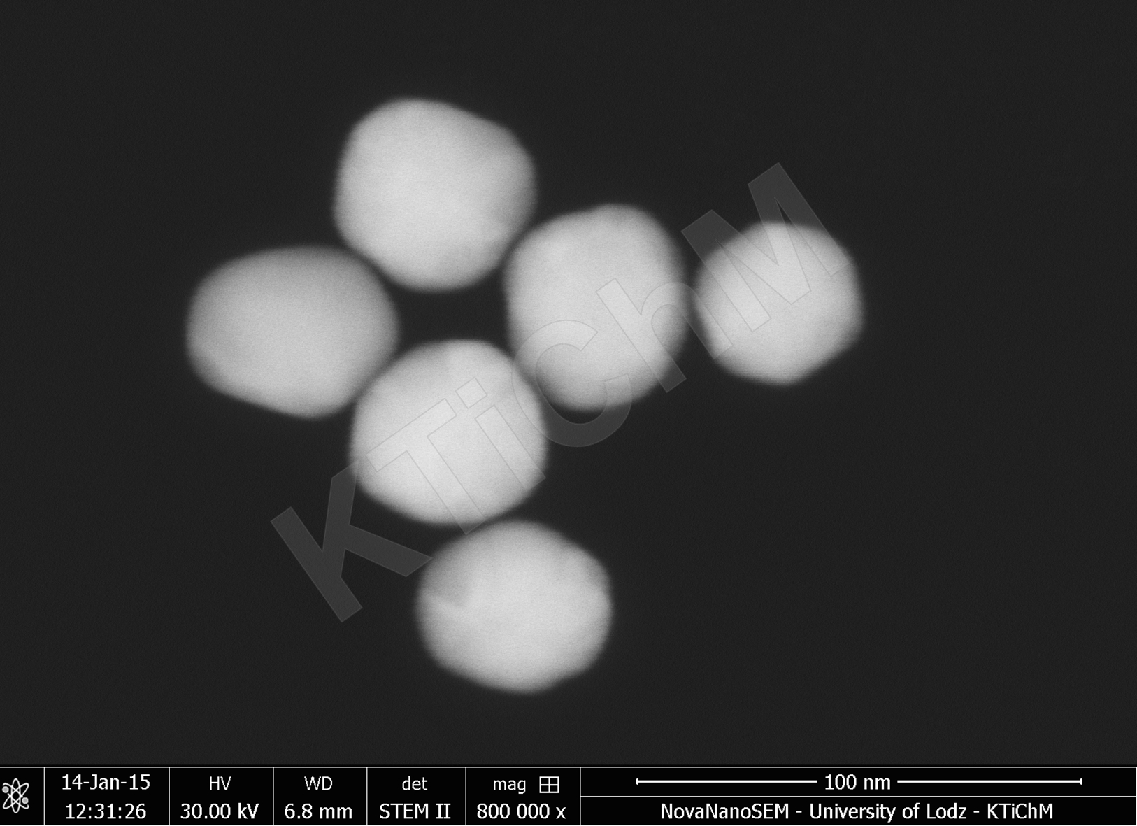 Nanocząstki złota (AuNP) o rozmiarze 40 nm, zdeponowane na błonach węglowych