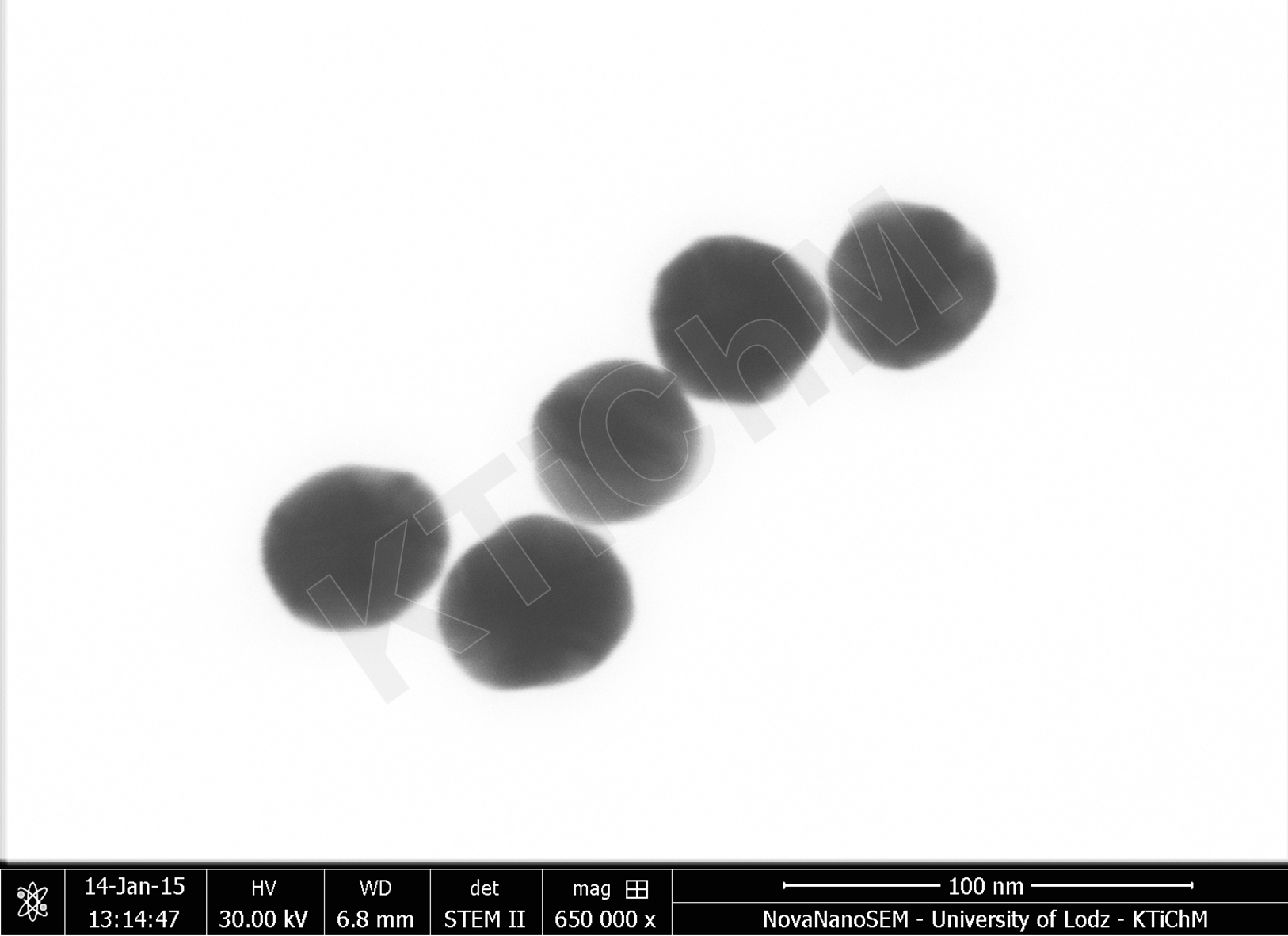 Nanocząstki złota (AuNP) o rozmiarze 40 nm, zdeponowane na błonach węglowych