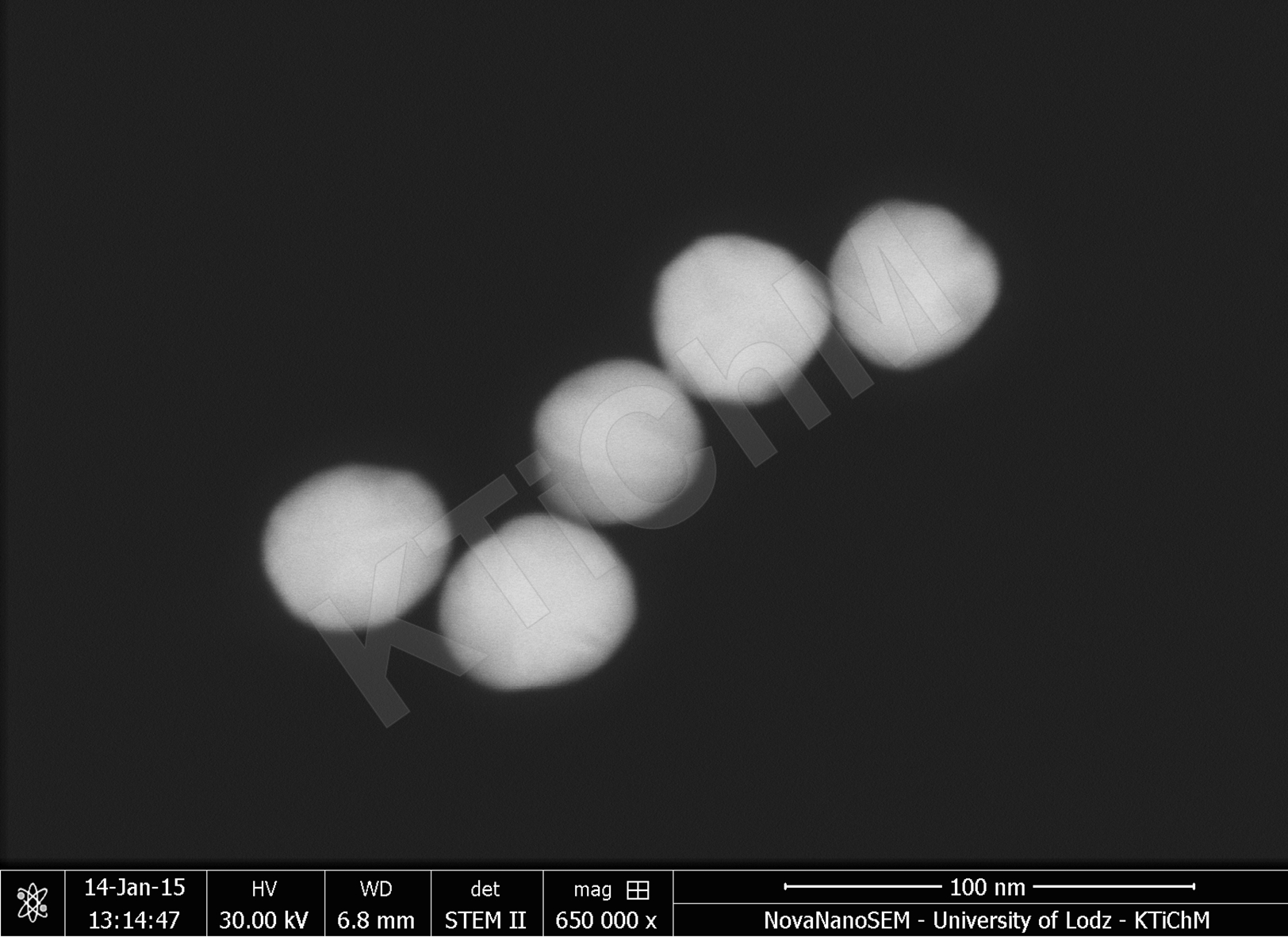 Nanocząstki złota (AuNP) o rozmiarze 40 nm, zdeponowane na błonach węglowych