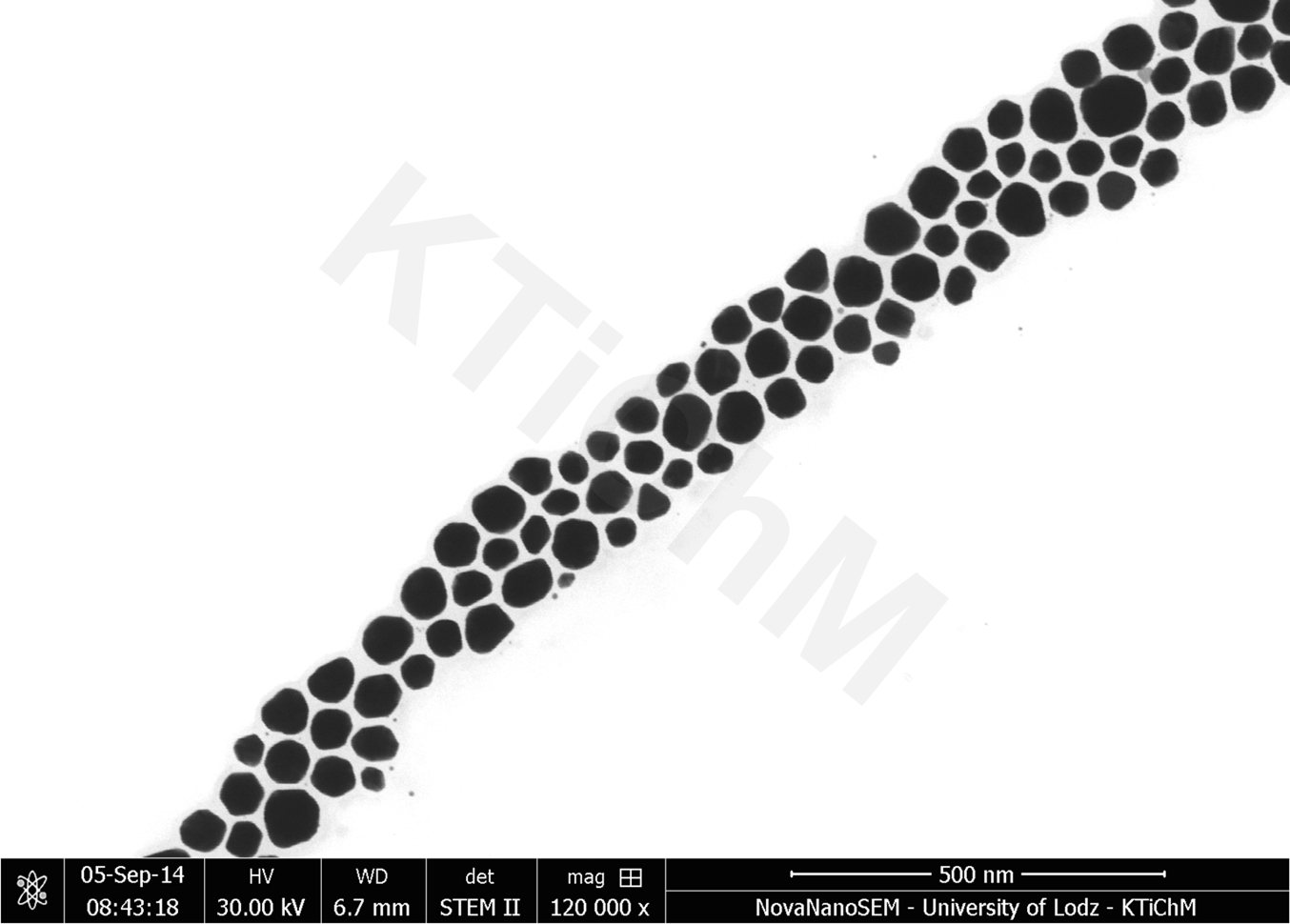 Nanocząstki złota (AuNP) o rozmiarze 40 nm, zdeponowane na błonach węglowych