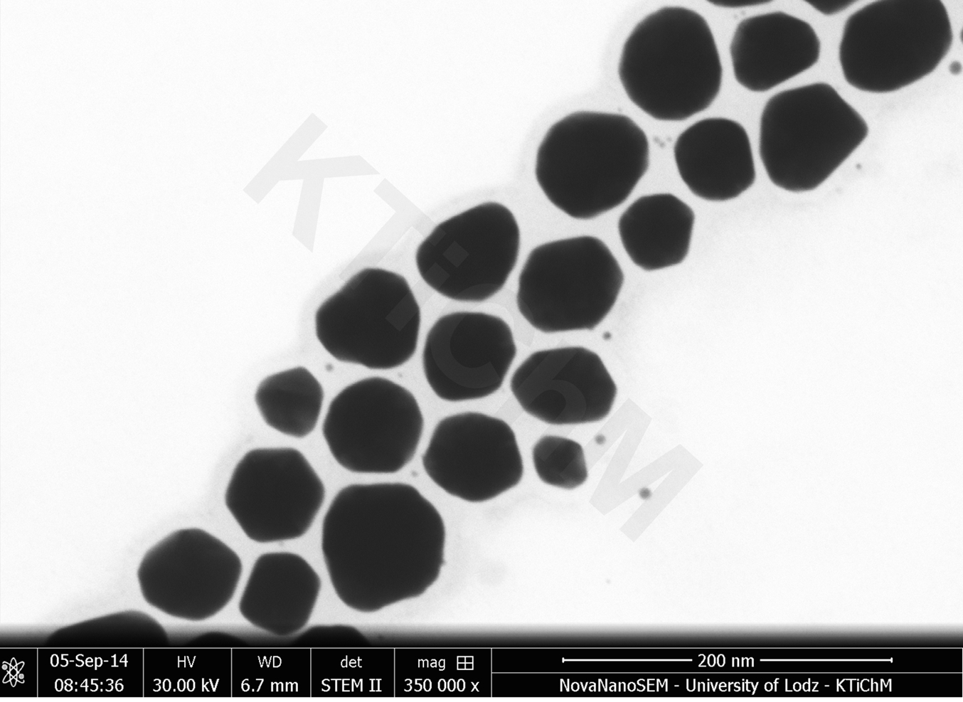 Nanocząstki złota (AuNP) o rozmiarze 40 nm, zdeponowane na błonach węglowych