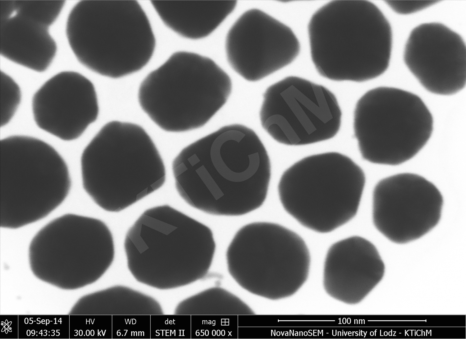 Nanocząstki złota (AuNP) o rozmiarze 40 nm, zdeponowane na błonach węglowych