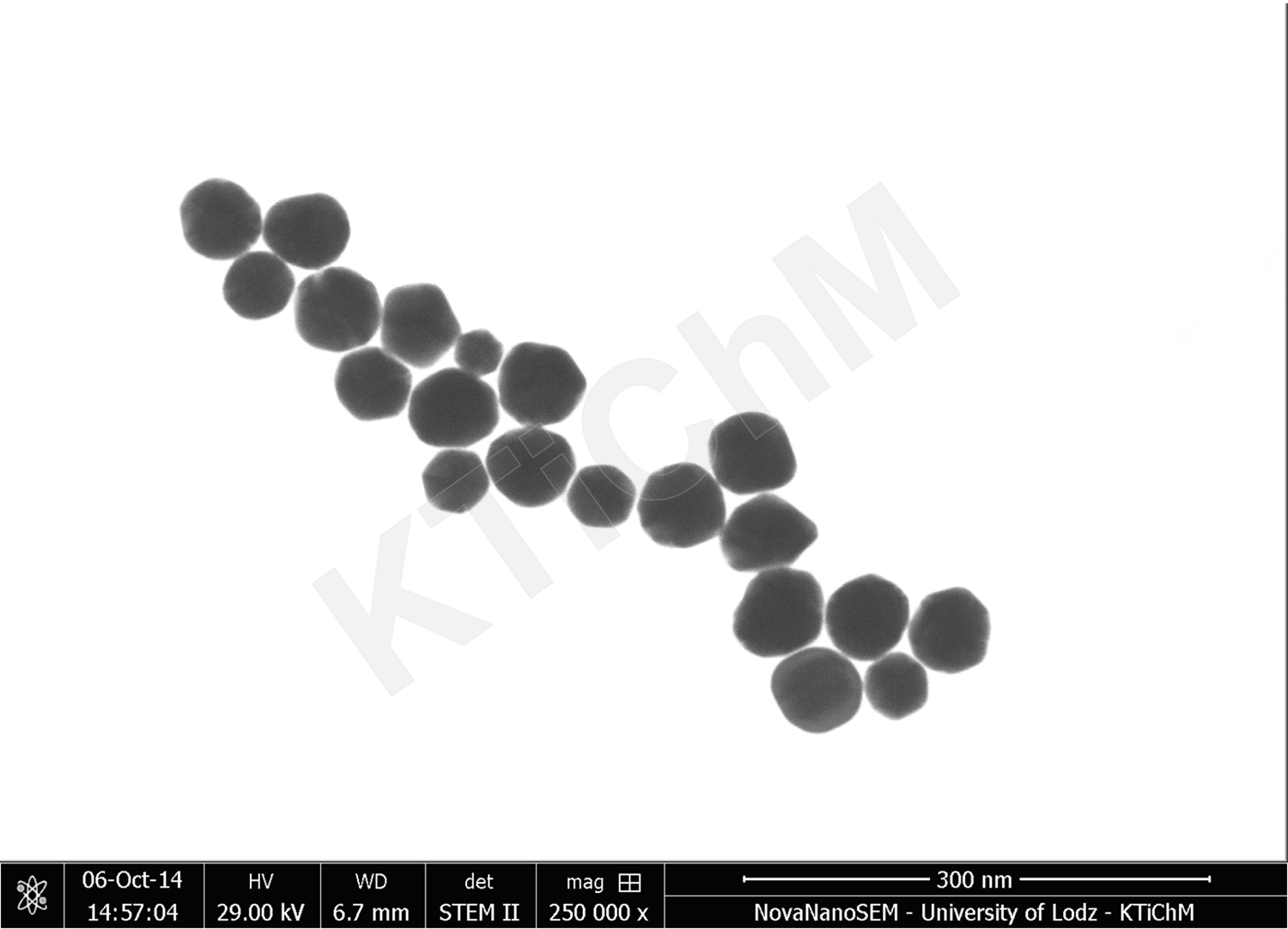 Nanocząstki złota (AuNP) o rozmiarze 50 nm,  zdeponowane na błonach węglowych, wytworzonych w KTiChM (STEM)