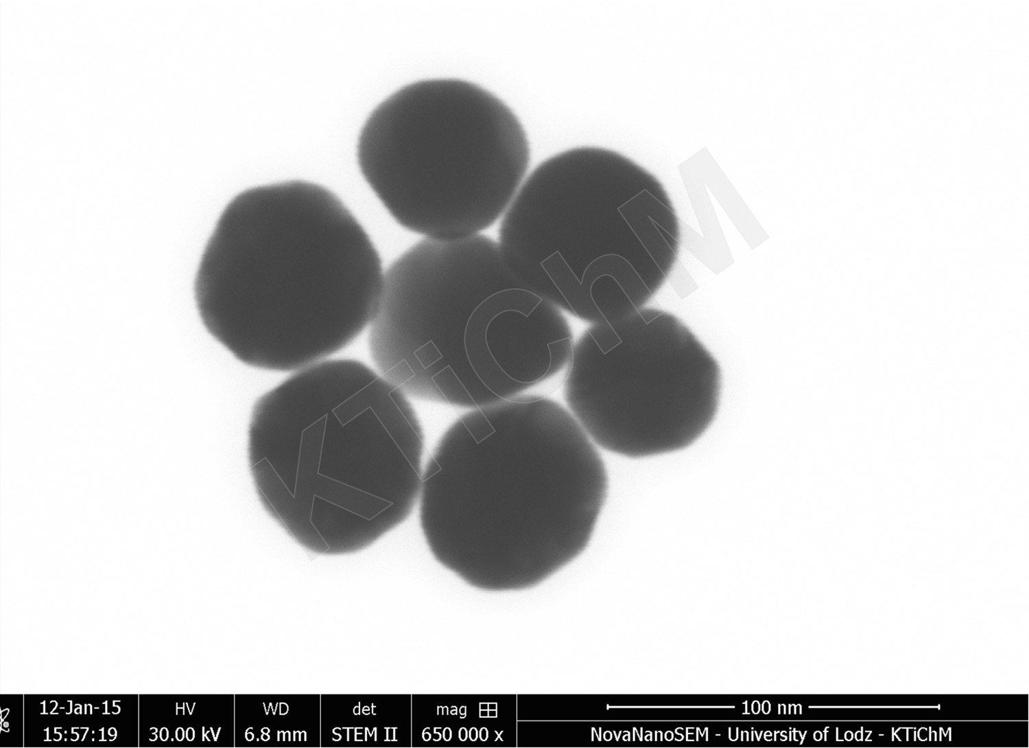 Nanocząstki złota (AuNP) o rozmiarze 50 nm,  zdeponowane na błonach węglowych, wytworzonych w KTiChM (STEM)