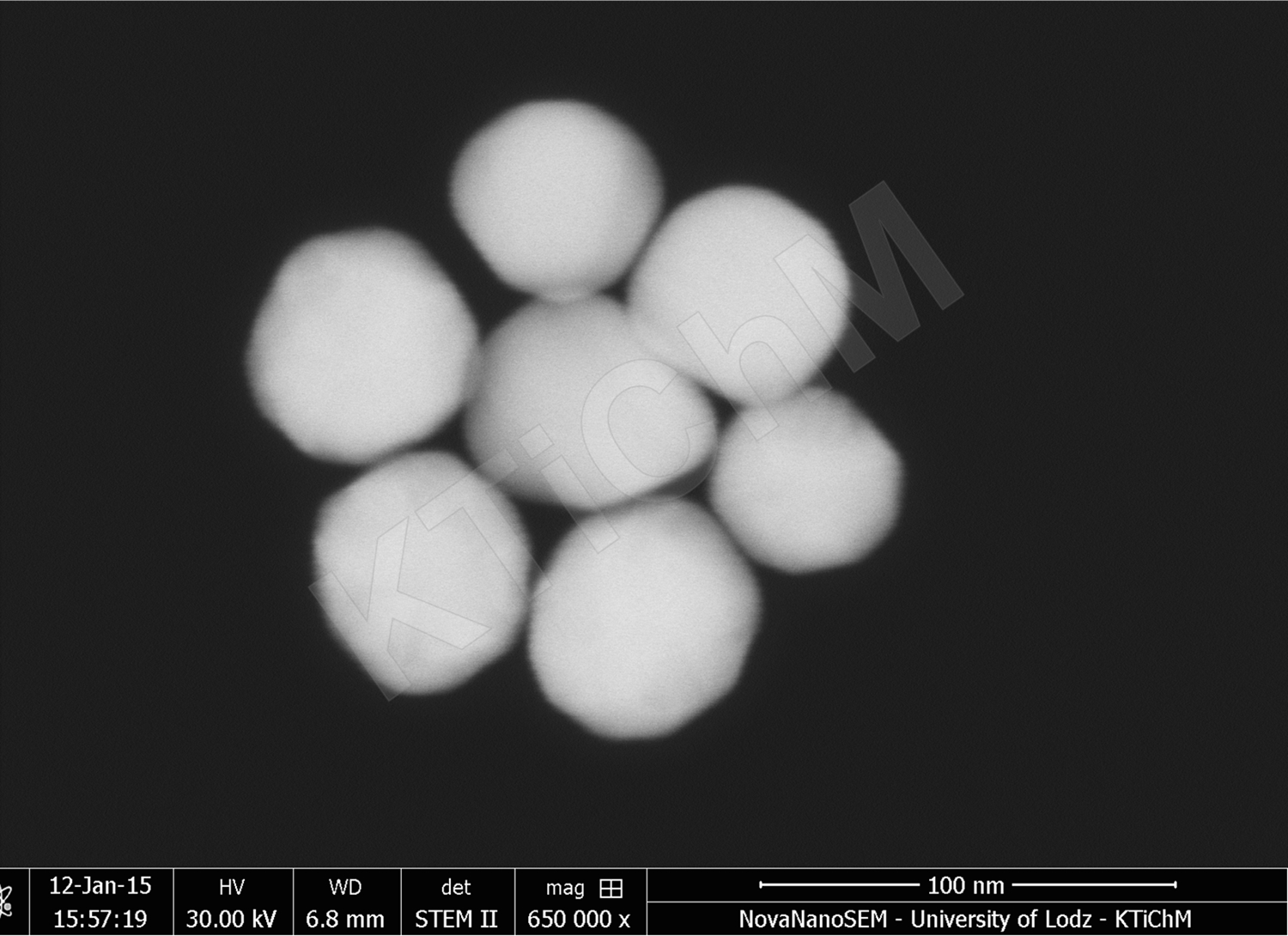Nanocząstki złota (AuNP) o rozmiarze 50 nm,  zdeponowane na błonach węglowych, wytworzonych w KTiChM (STEM)