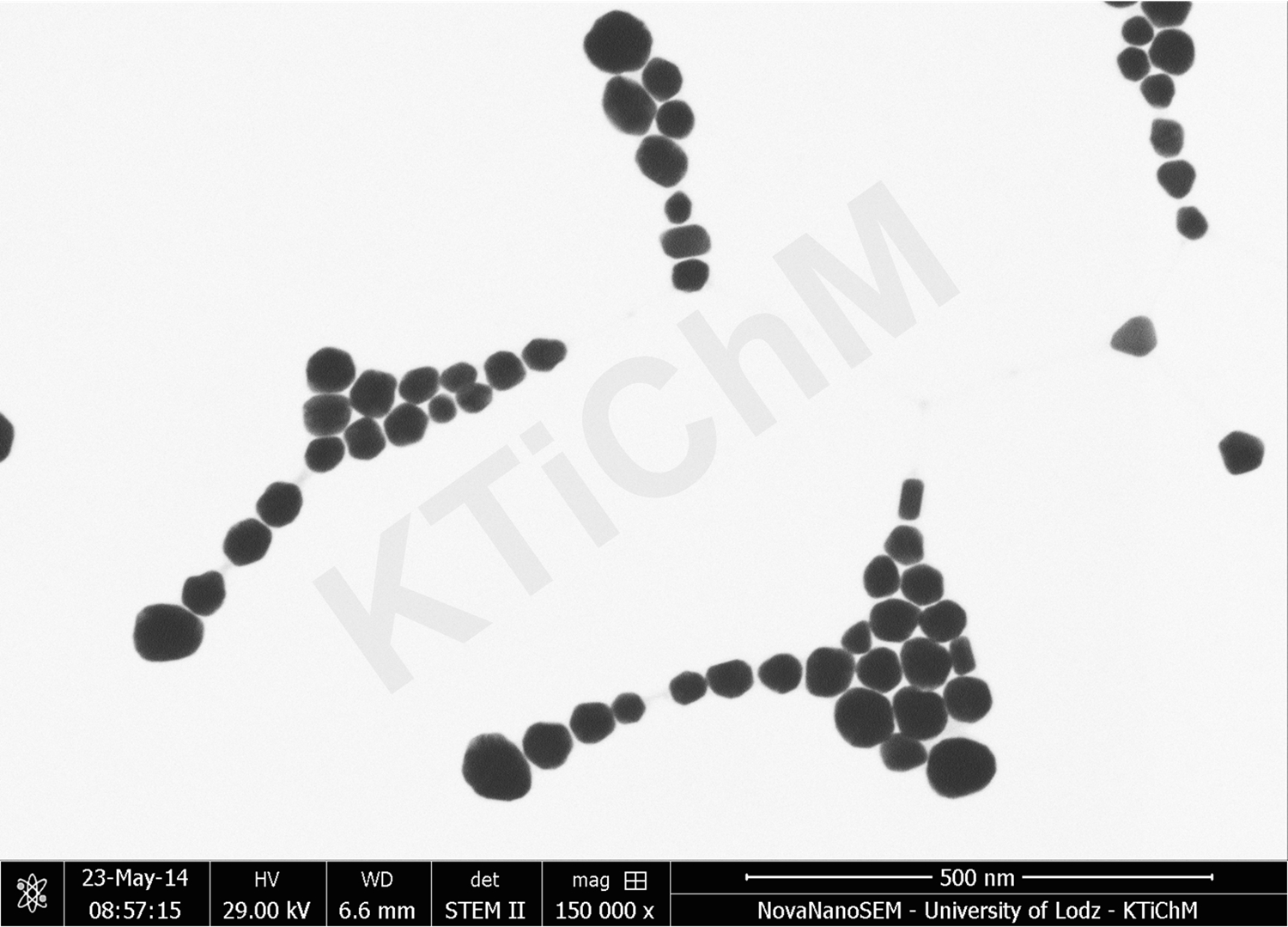 Nanocząstki złota (AuNP) o rozmiarze 50 nm i 55 nm, zmodyfikowane tioglikolami, zdeponowane na błonach węglowych, wytworzonych w KTiChM (STEM)