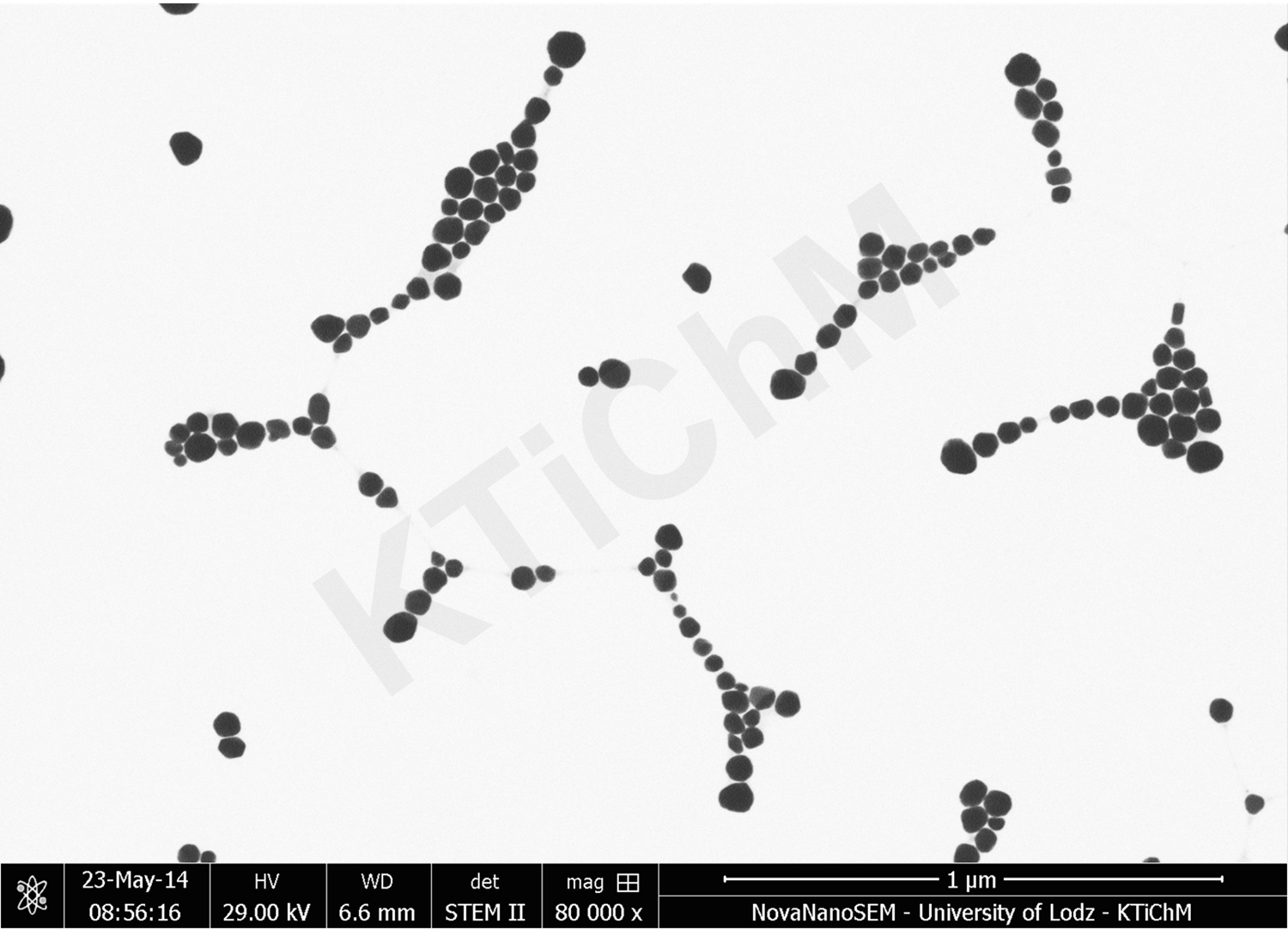 Nanocząstki złota (AuNP) o rozmiarze 50 nm i 55 nm, zmodyfikowane tioglikolami, zdeponowane na błonach węglowych, wytworzonych w KTiChM (STEM)