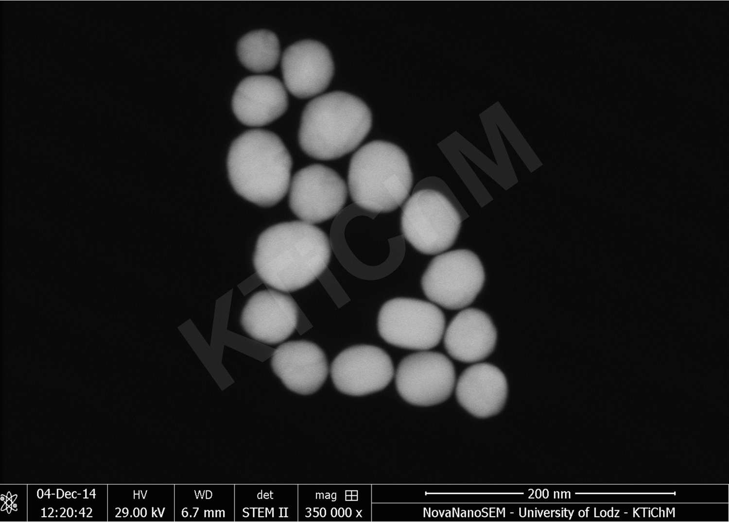 Nanocząstki złota (AuNP) o rozmiarze 50 nm i 55 nm, zmodyfikowane tioglikolami, zdeponowane na błonach węglowych, wytworzonych w KTiChM (STEM)