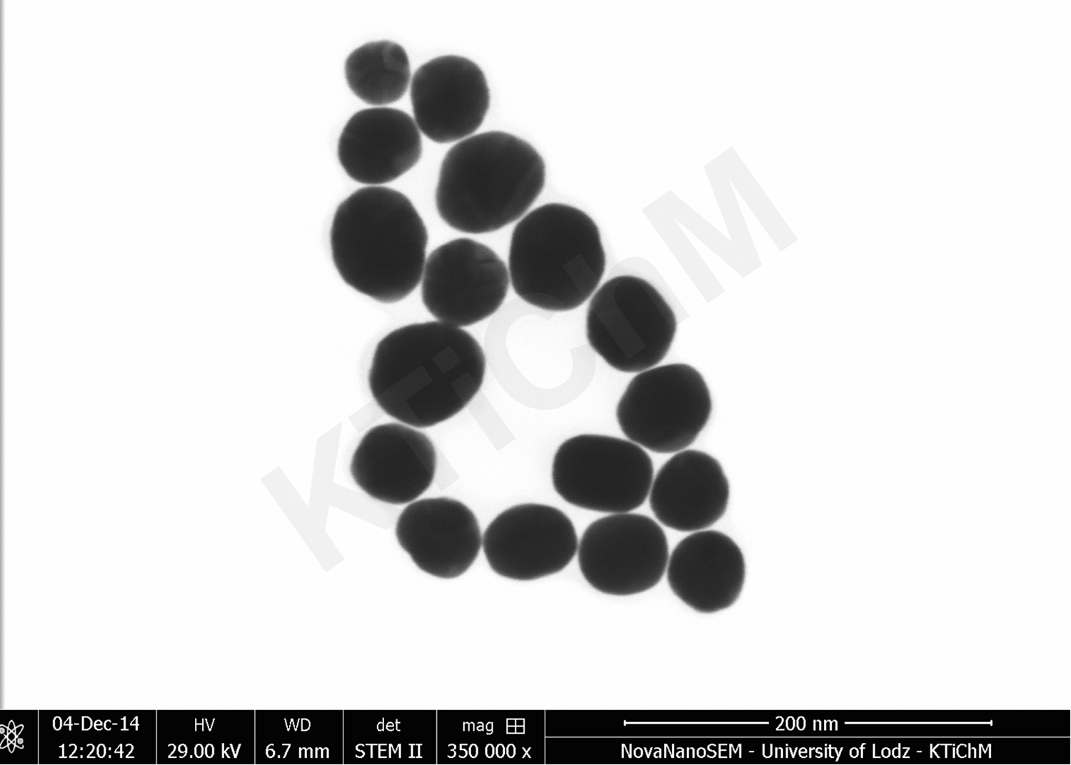 Nanocząstki złota (AuNP) o rozmiarze 50 nm i 55 nm, zmodyfikowane tioglikolami, zdeponowane na błonach węglowych, wytworzonych w KTiChM (STEM)