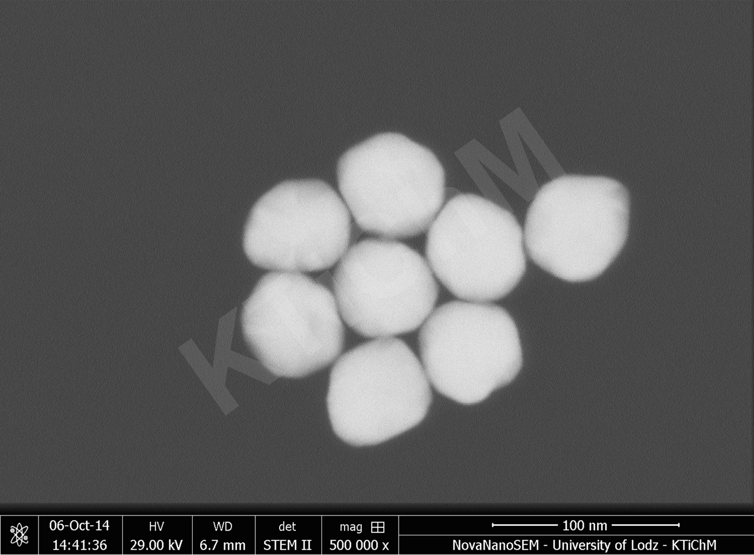 Nanocząstki złota (AuNP) o rozmiarze 50 nm i 55 nm, zmodyfikowane tioglikolami, zdeponowane na błonach węglowych, wytworzonych w KTiChM (STEM)