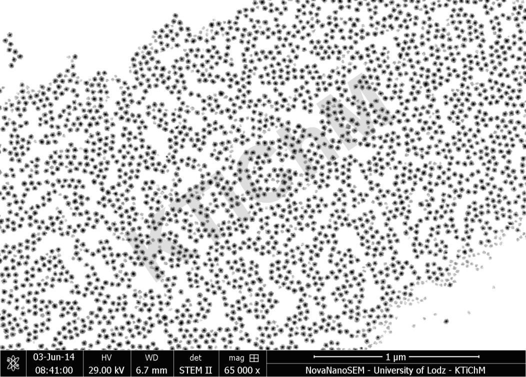 AuNP 13 nm pokryte warstwą SnO2
