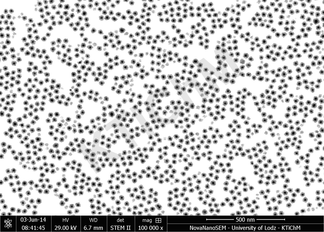AuNP 13 nm pokryte warstwą SnO2