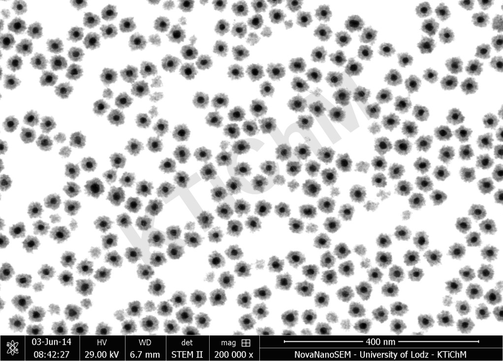 AuNP 13 nm pokryte warstwą SnO2
