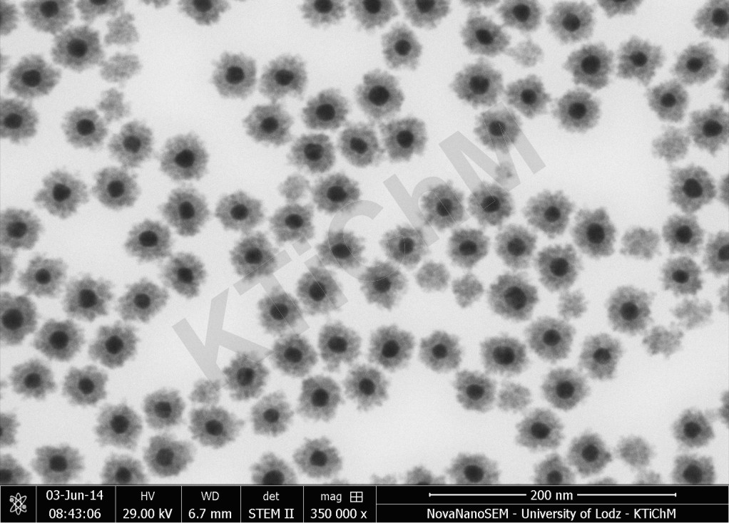 AuNP 13 nm pokryte warstwą SnO2