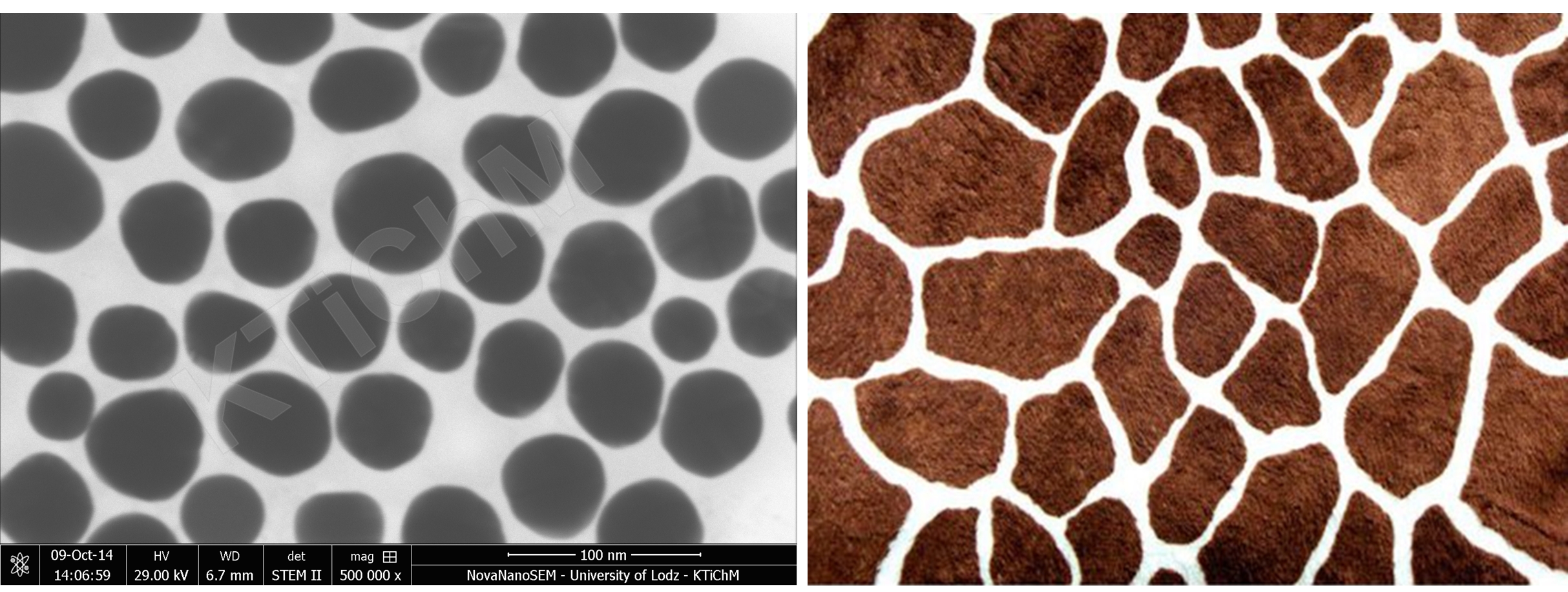 Gold nanoparticles modified with thioglycol