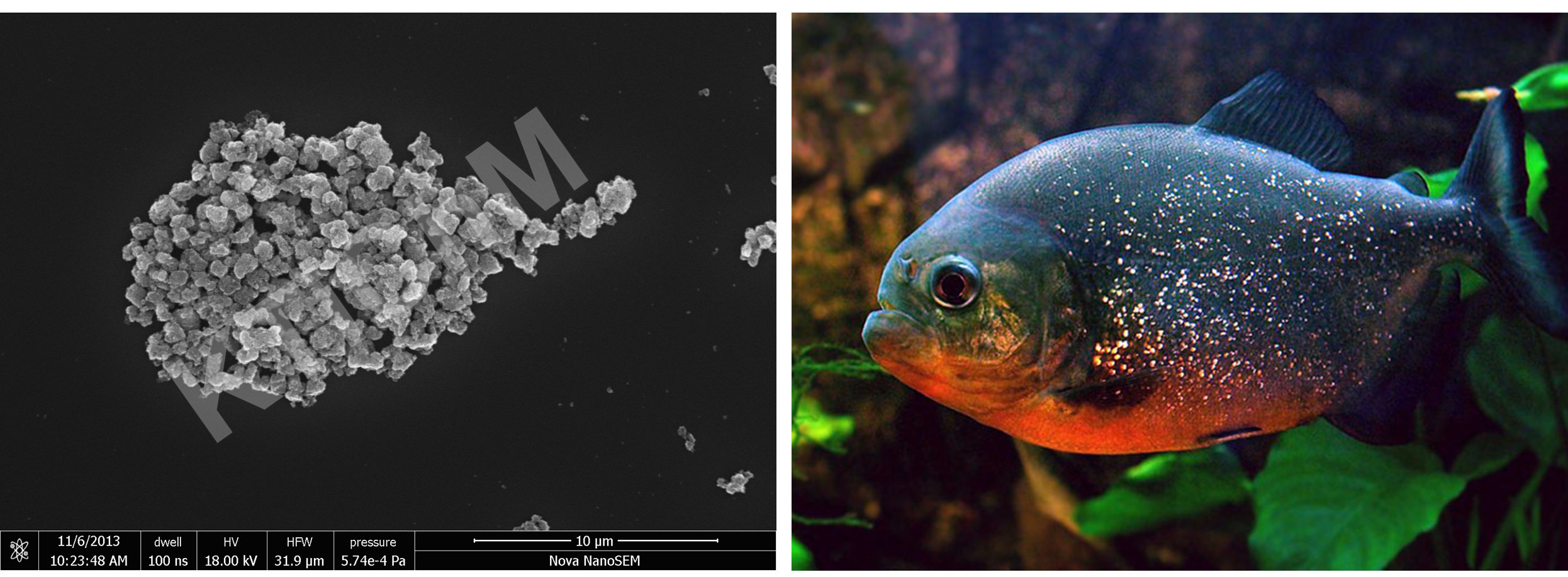 Titanium dioxide powder