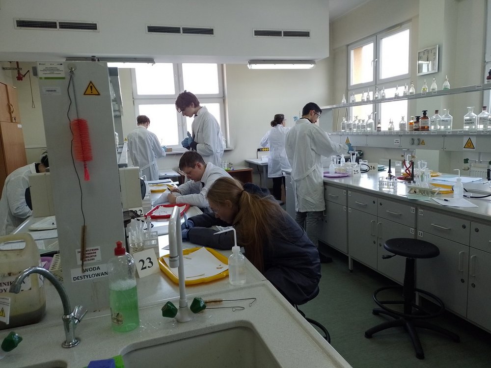 Uczestnicy olimpiady w laboratorium
